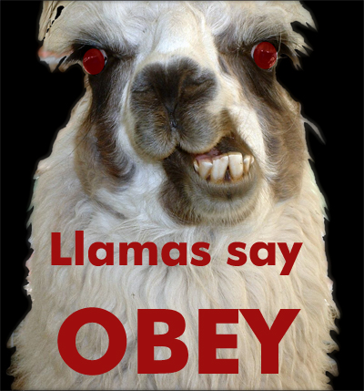 http://salamandercandy.files.wordpress.com/2007/09/llama-obey.jpg